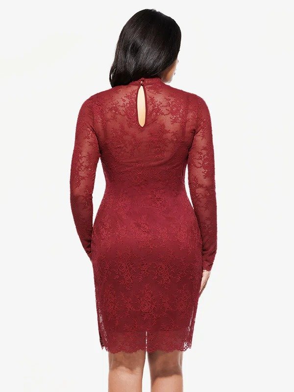 lamodaleeds Women's Wine Red Lace High Neck Mini Dress - Long Sleeve Bodycon Cocktail Party Dress (3)